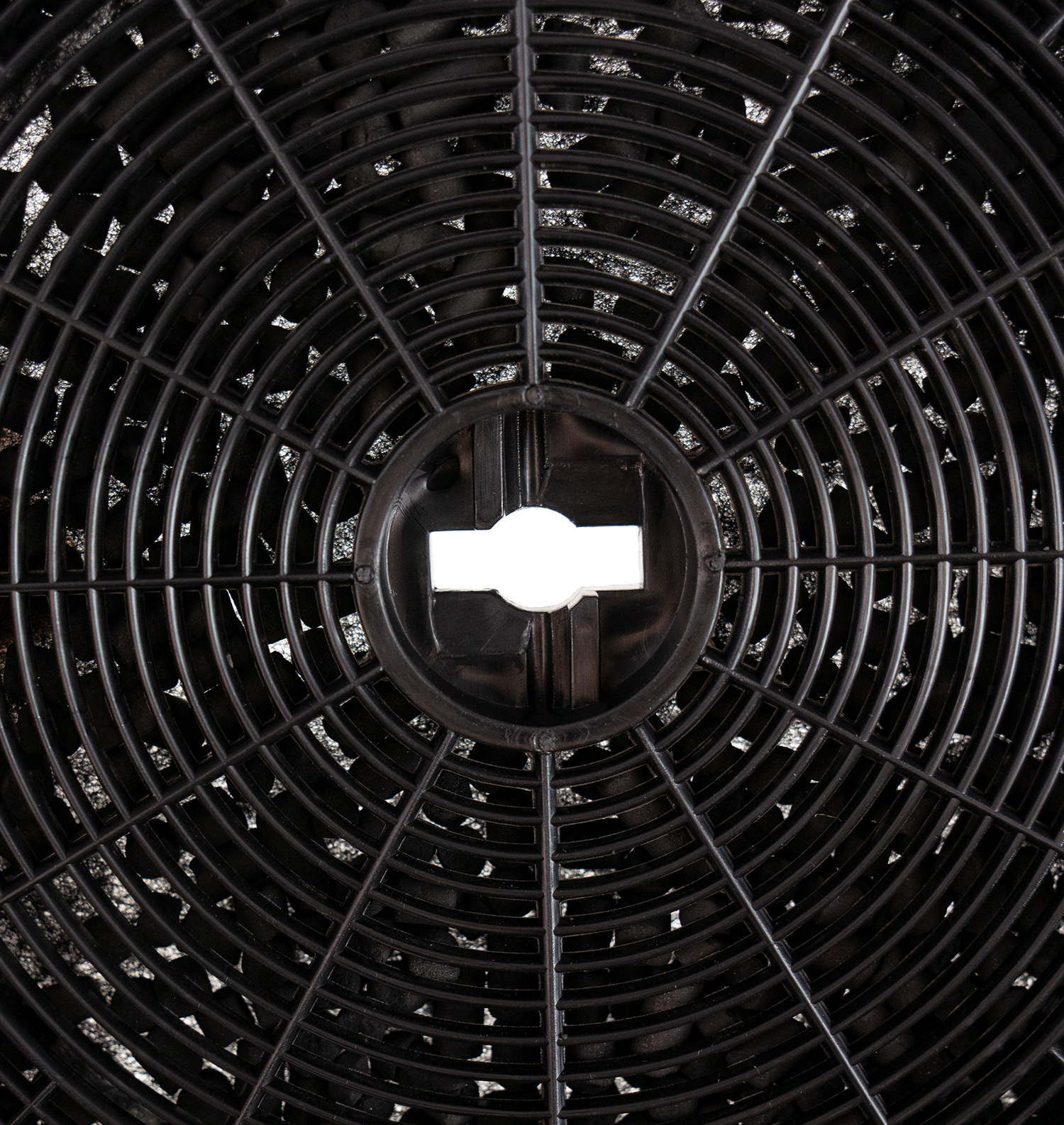 картинка Комплект из 2х угольных фильтров Lex N1 