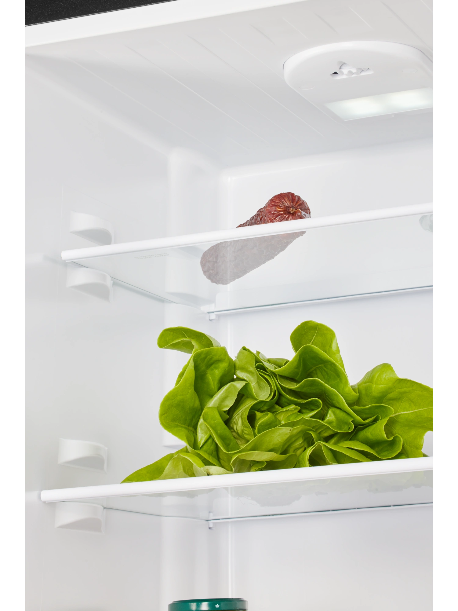 картинка Отдельностоящий холодильник Nord NRB 134 B 