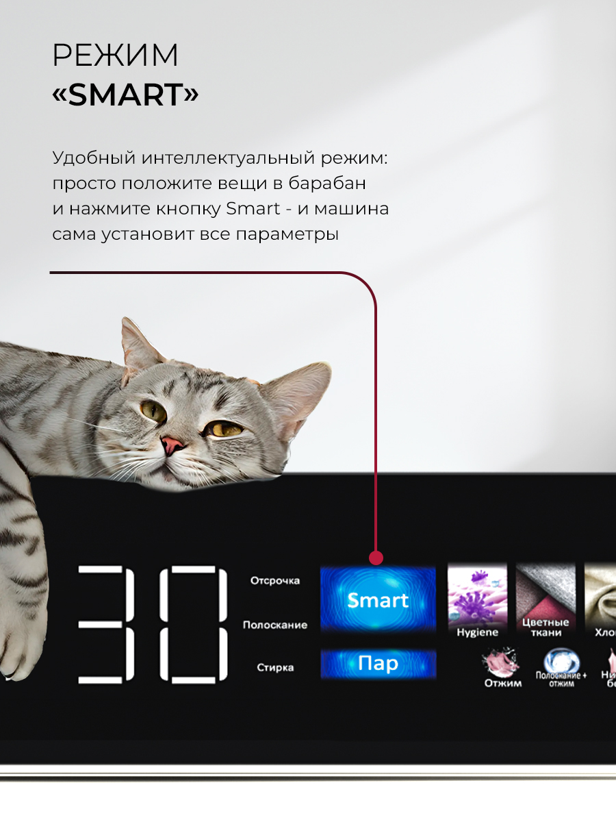 картинка Сушильная машина Lex LDM12WBLTHD  картинка Сушильная машина Lex LDM12WBLTHD
