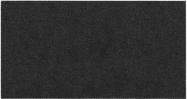 картинка Фильтр угольный Weissgauff CFA 57010 