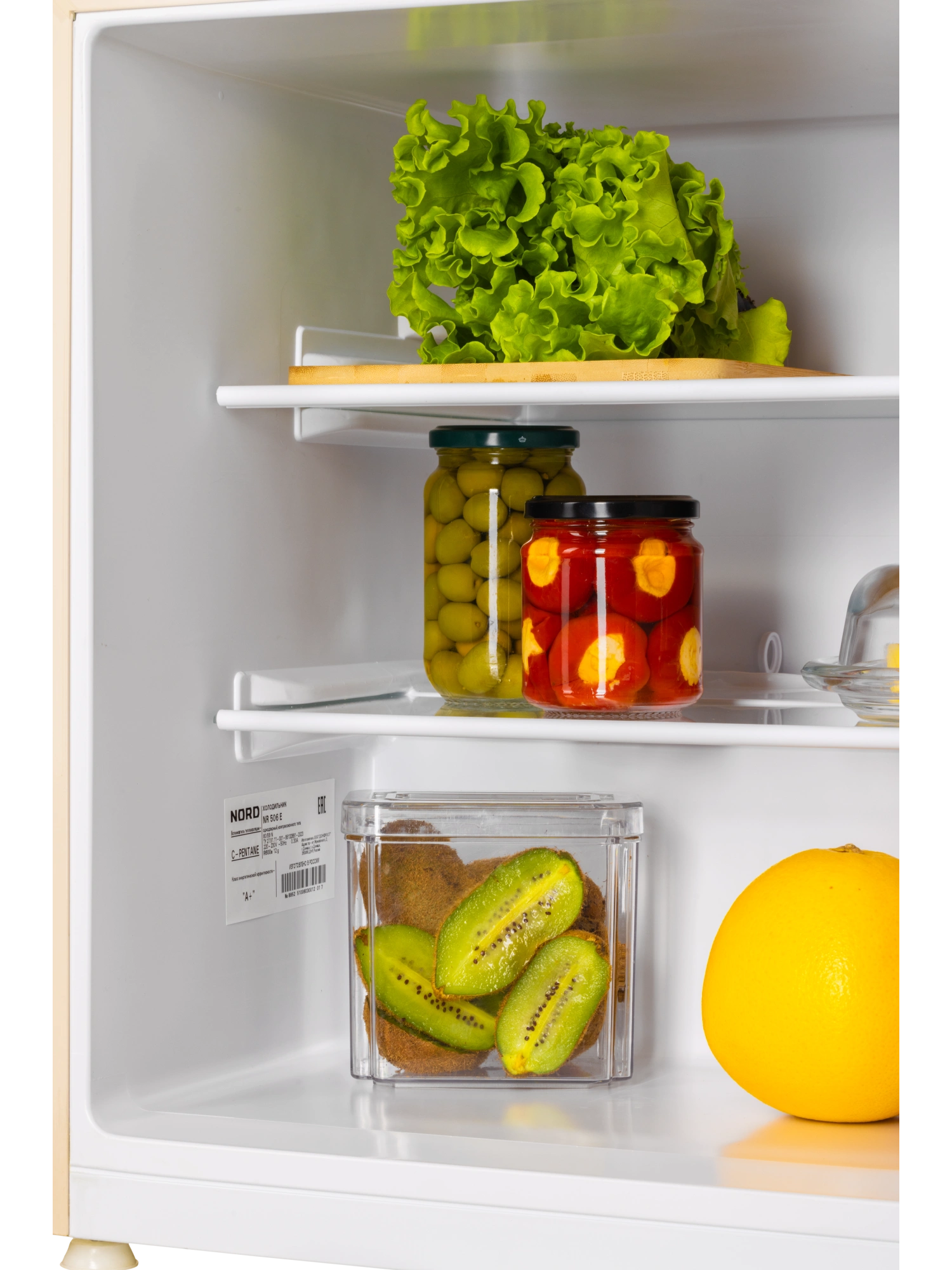 картинка Отдельностоящий холодильник Nord NR 506 E 