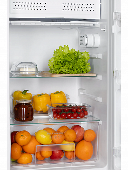 картинка Отдельностоящий холодильник Nord RF 90 W 