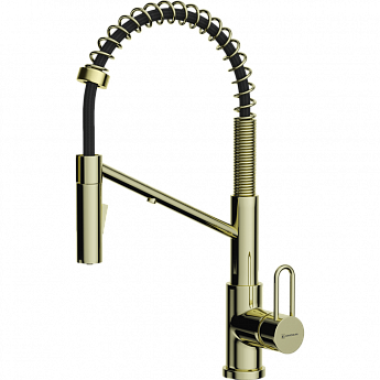 картинка Смеситель Omoikiri MIKAWA 2 PLUS-SB-LG 