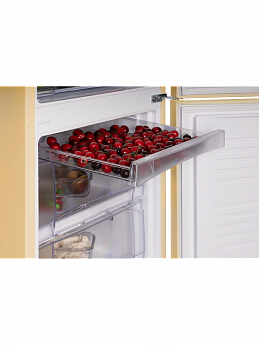 картинка Отдельностоящий холодильник Nord NRB 161NF E 