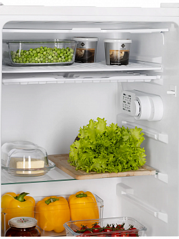 картинка Отдельностоящий холодильник Nord RF 90 W 