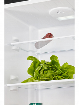 картинка Отдельностоящий холодильник Nord NRB 161NF B черный 