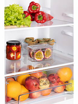 картинка Отдельностоящий холодильник Nord NRG 152 DTM титан 